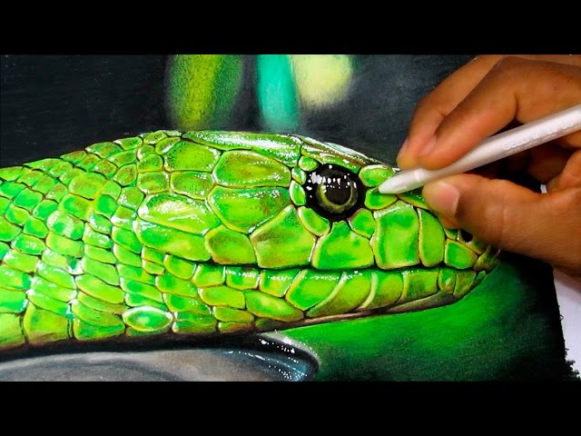 realistic snake drawing