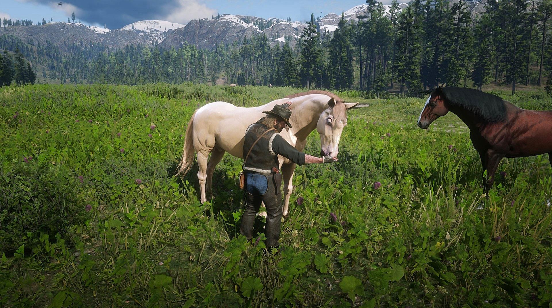 reddeadredemption2 horses