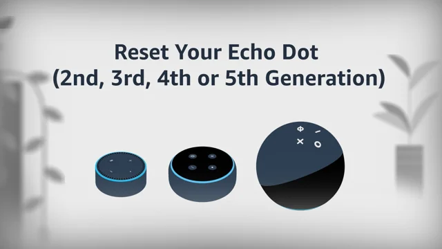 reset echo dot 4th generation