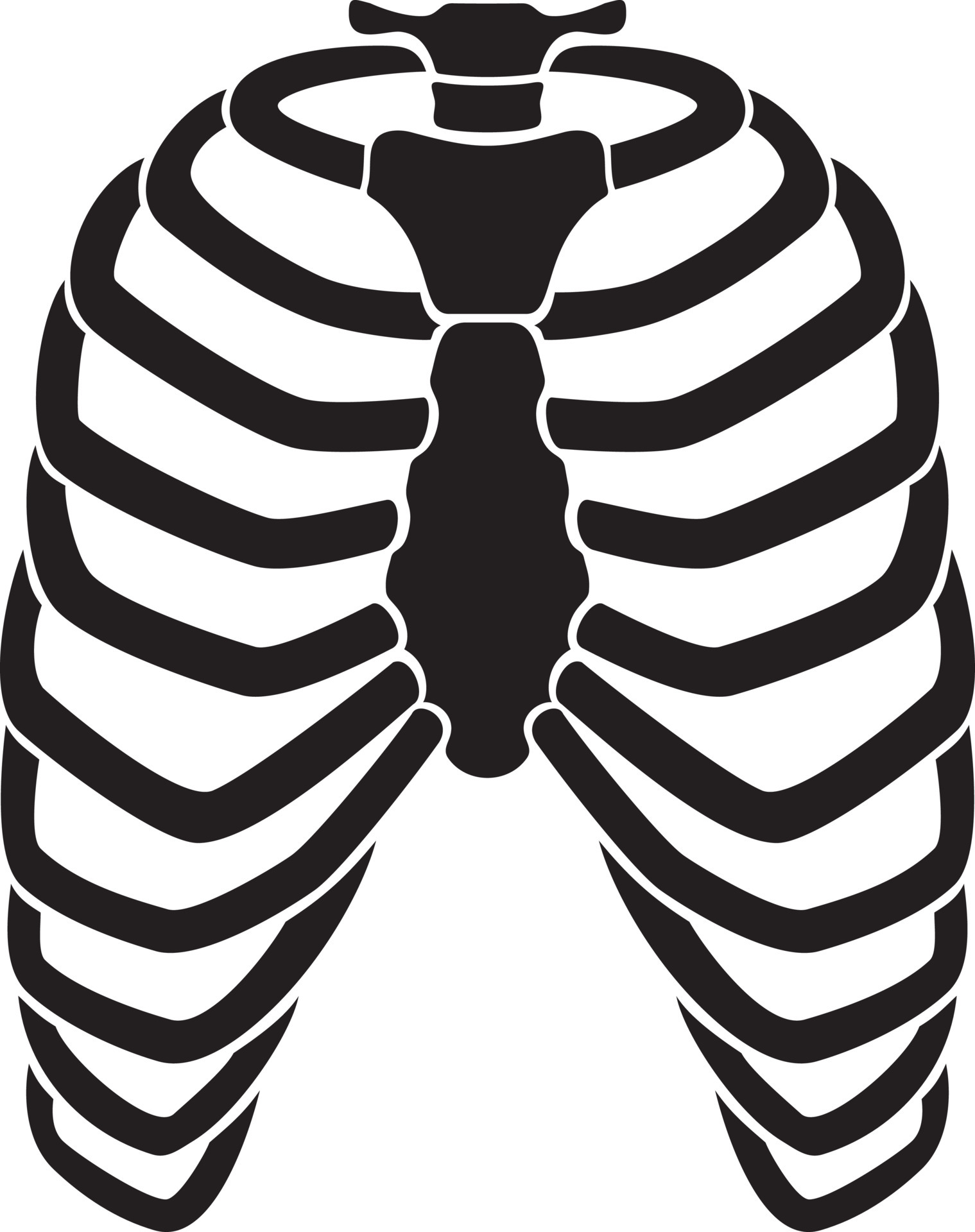 ribs vector