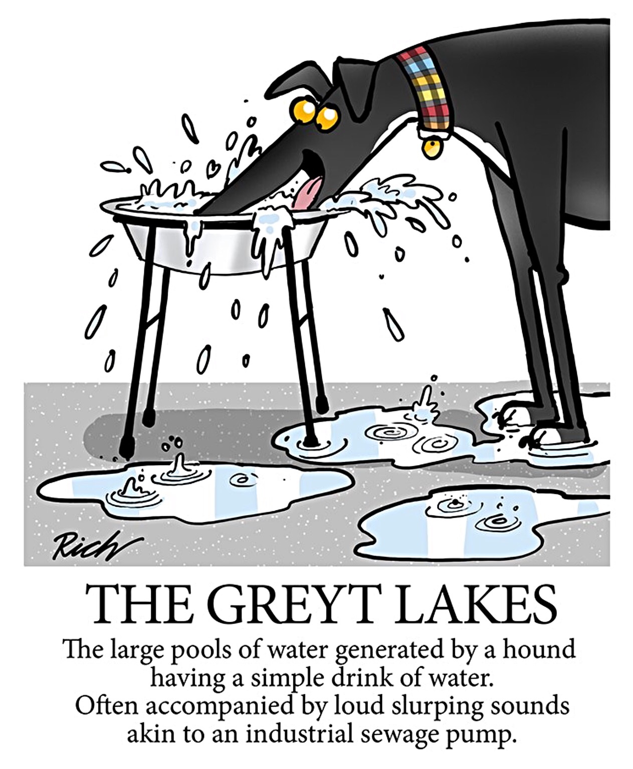 richard skipworth