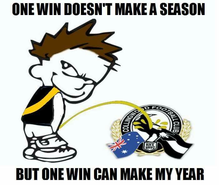 richmond tigers memes