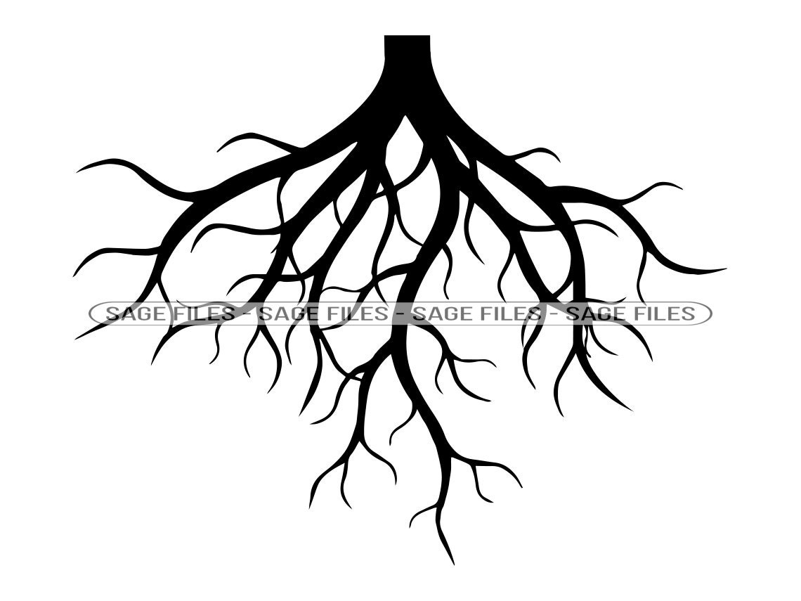 roots clipart