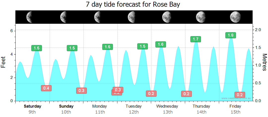 rose bay tides