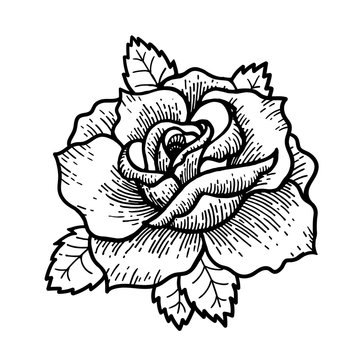 rose vector tattoo