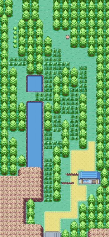 route 43 heartgold