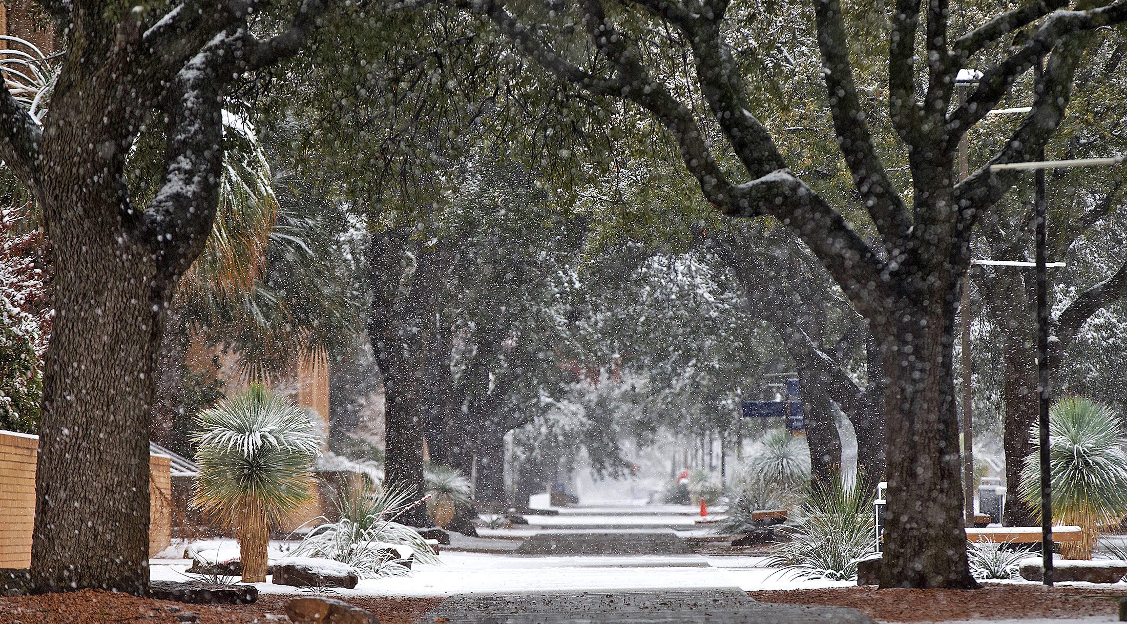 san angelo weather