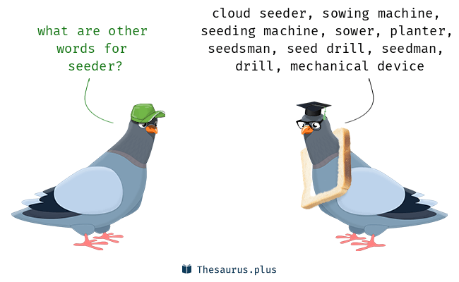 seeder synonym