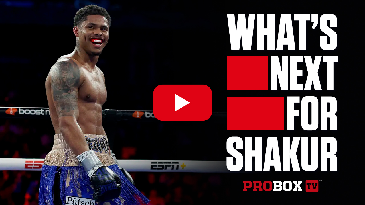 shakur stevenson fight schedule