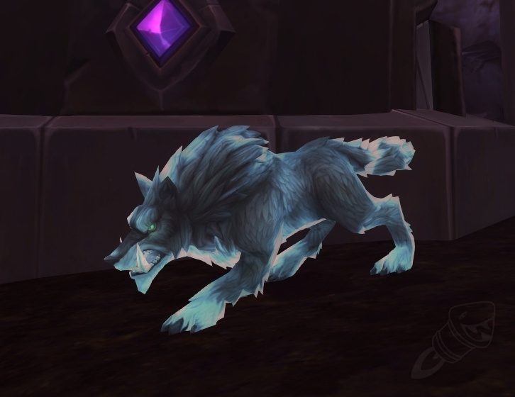 shaman wolf forms