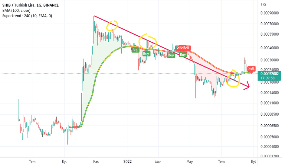 shiba coin tl grafik