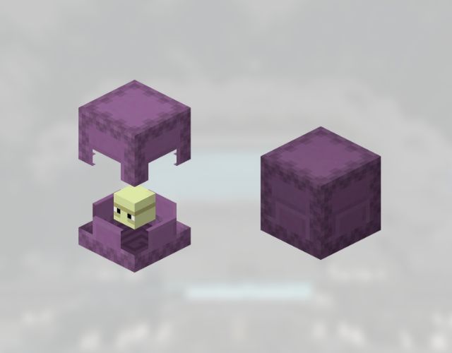 shulker box