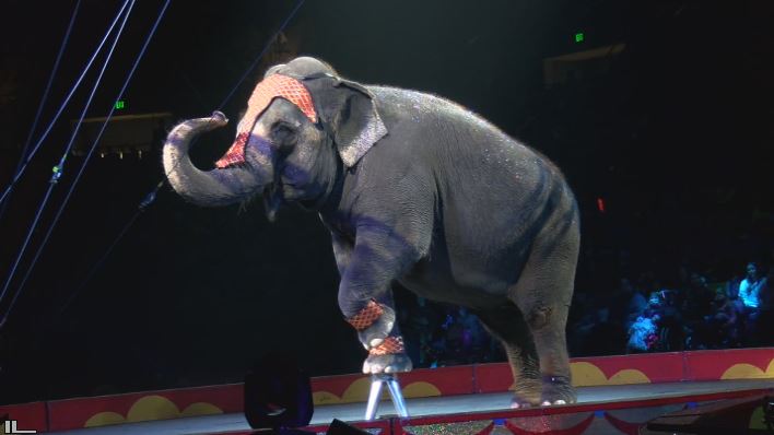 sioux falls shrine circus