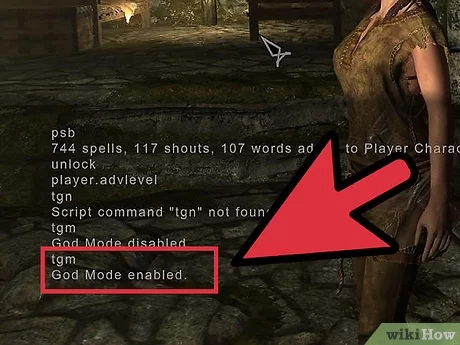 skyrim console cheats