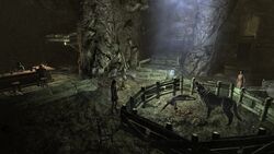 skyrim cragslane cavern