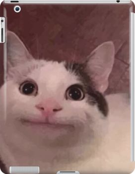 smiling cat meme