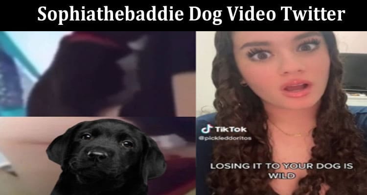 sophia the baddie dog video twitter