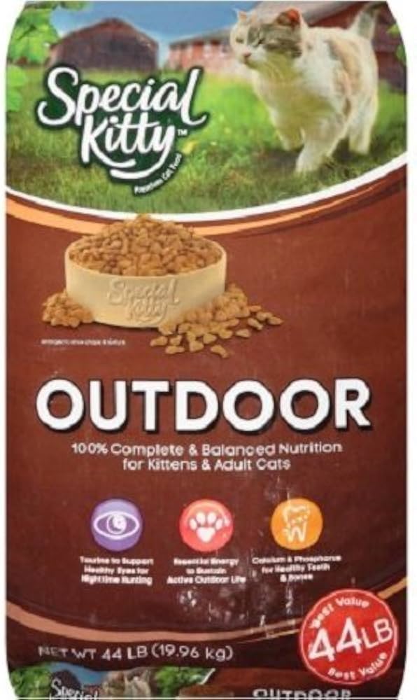 special kitty cat food