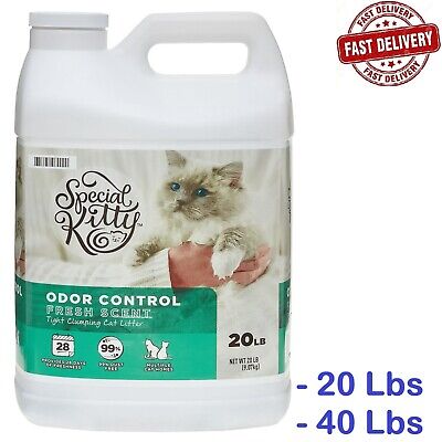 special kitty cat litter