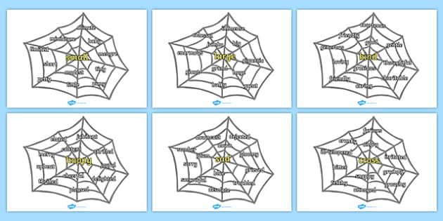 spider web synonym