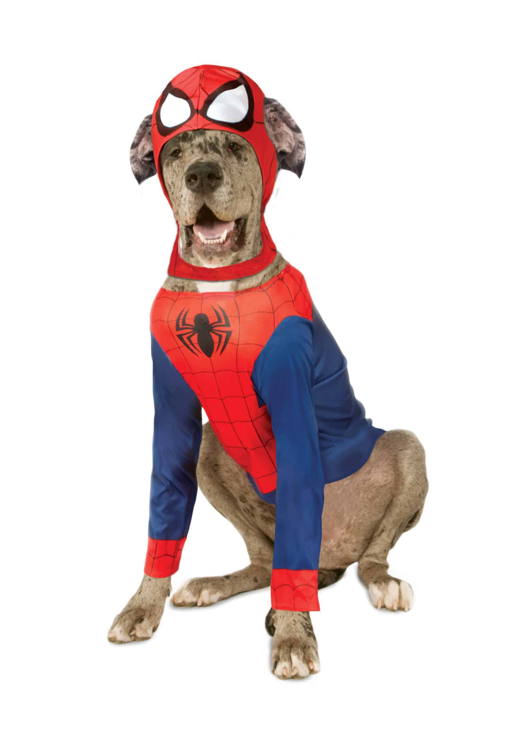 spiderman dog costume