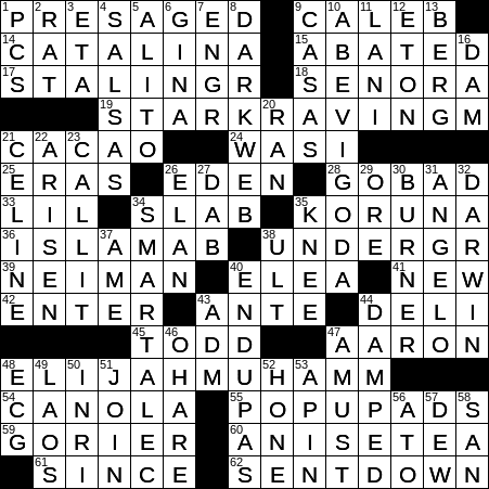 spy crossword clue