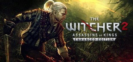 steam witcher2