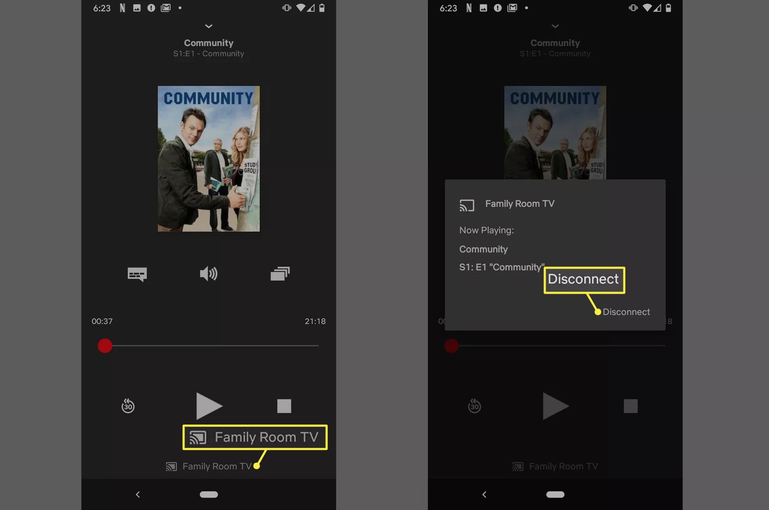 stream netflix via chromecast