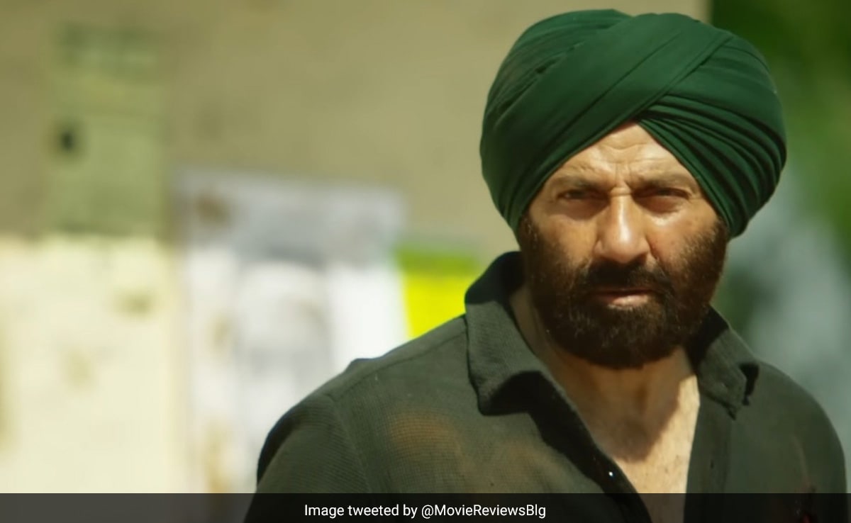 sunny deol all movie box office collection