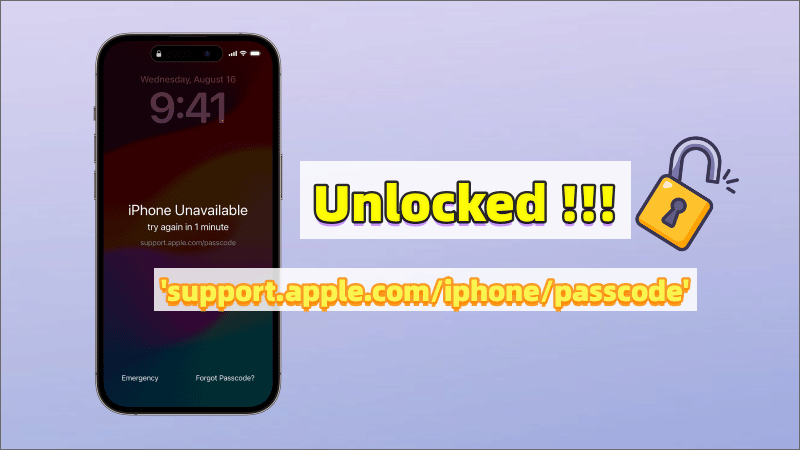 support.apple.come/iphone/passcode