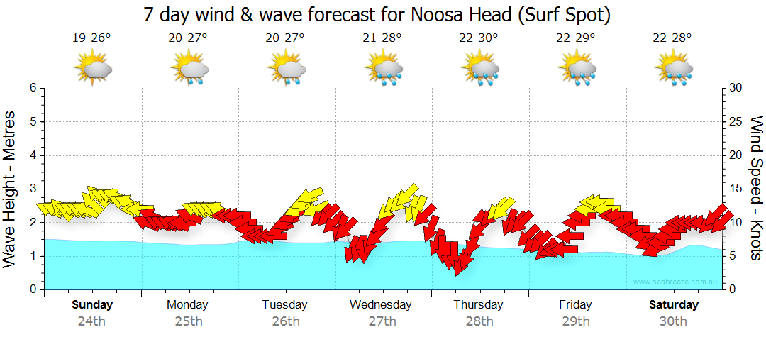 surf forecast noosa heads