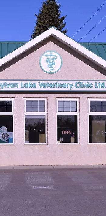 sylvan lake veterinary