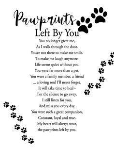 sympathy quotes for loss of dog