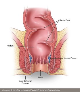 symptoms of anual cancer