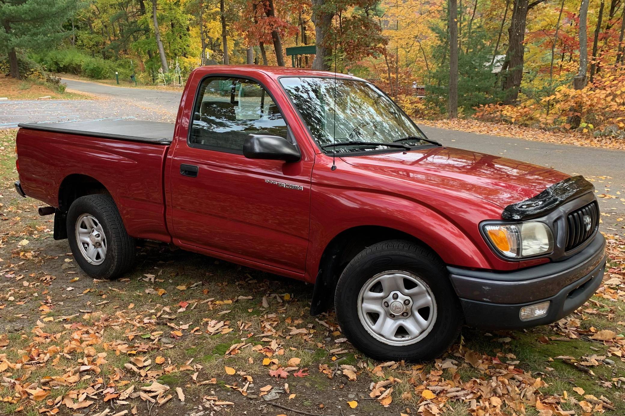 tacoma single cab