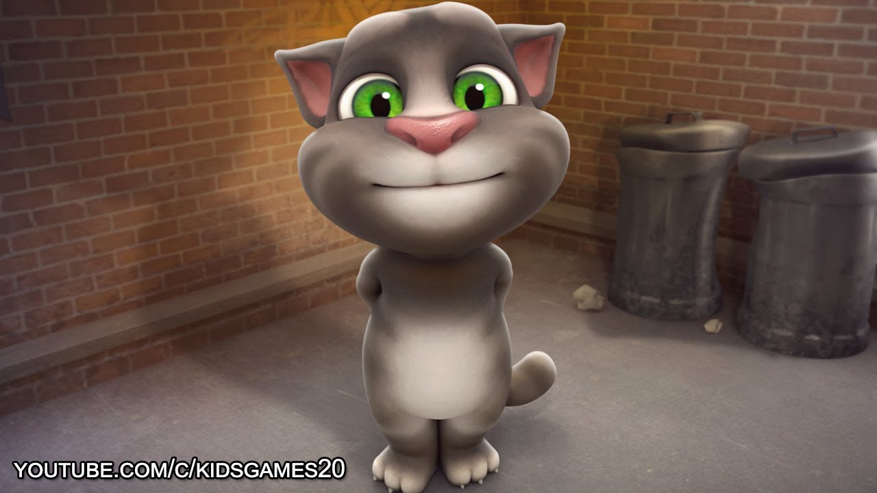 talking tom talking cat