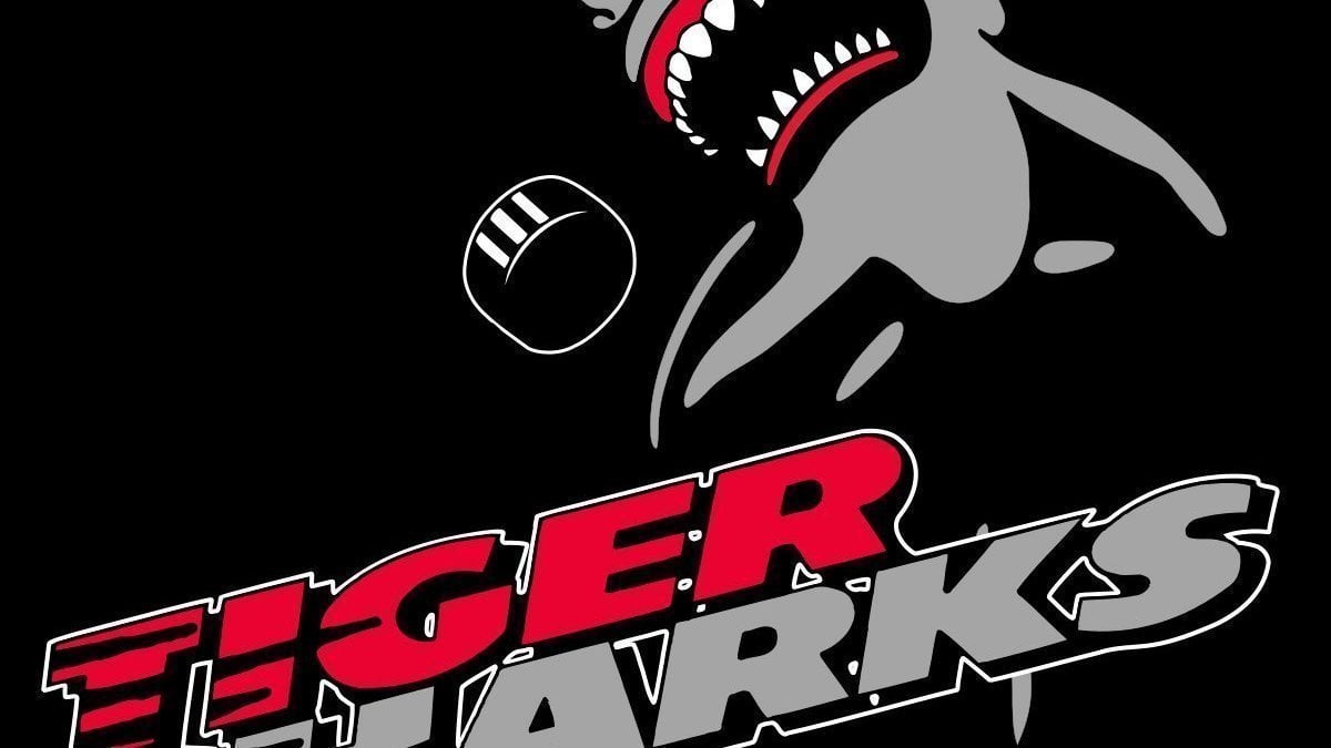 tallahassee tiger sharks