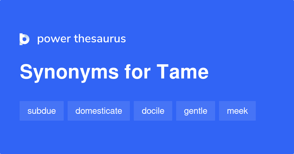 tame synonym