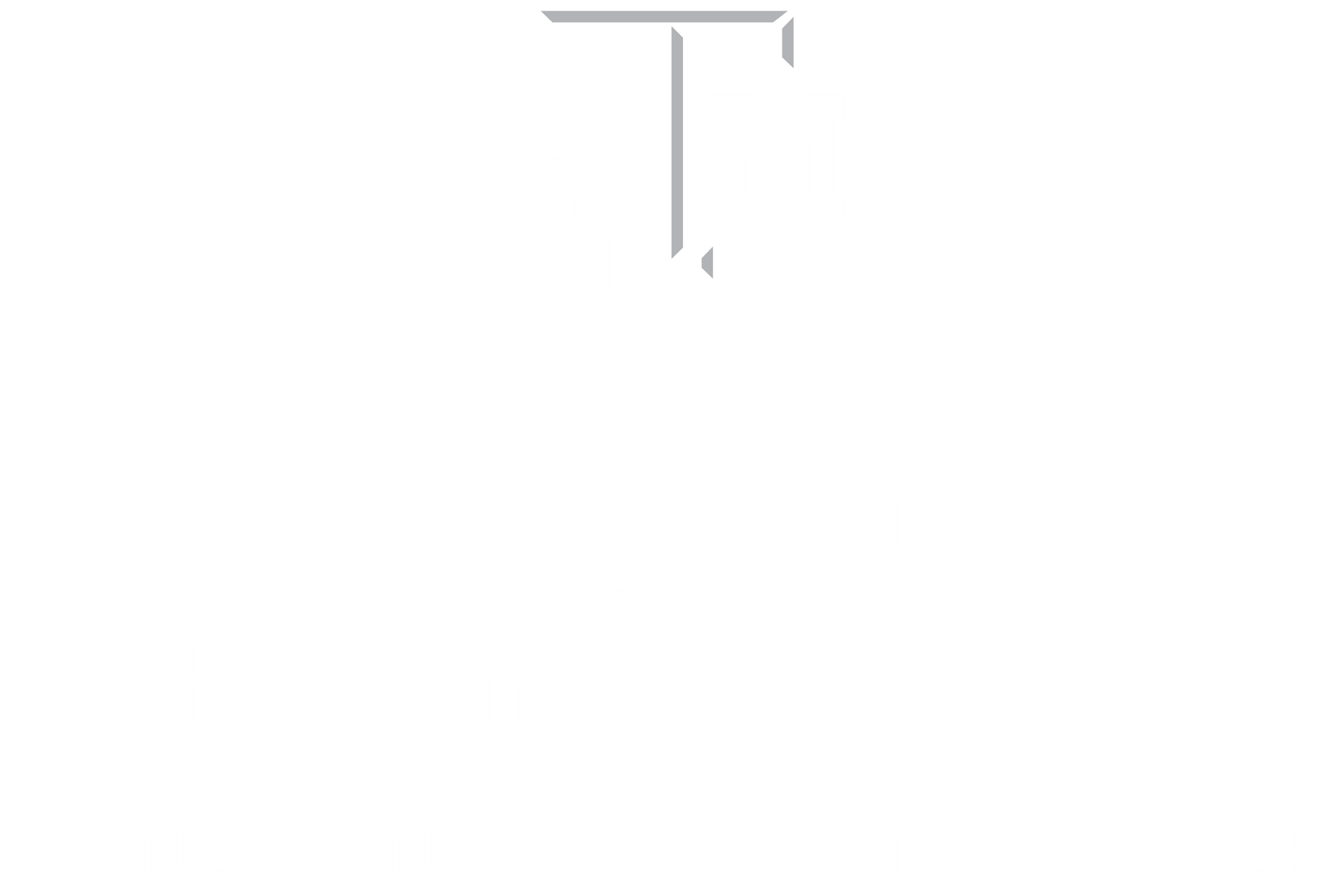 tamu undergraduate research