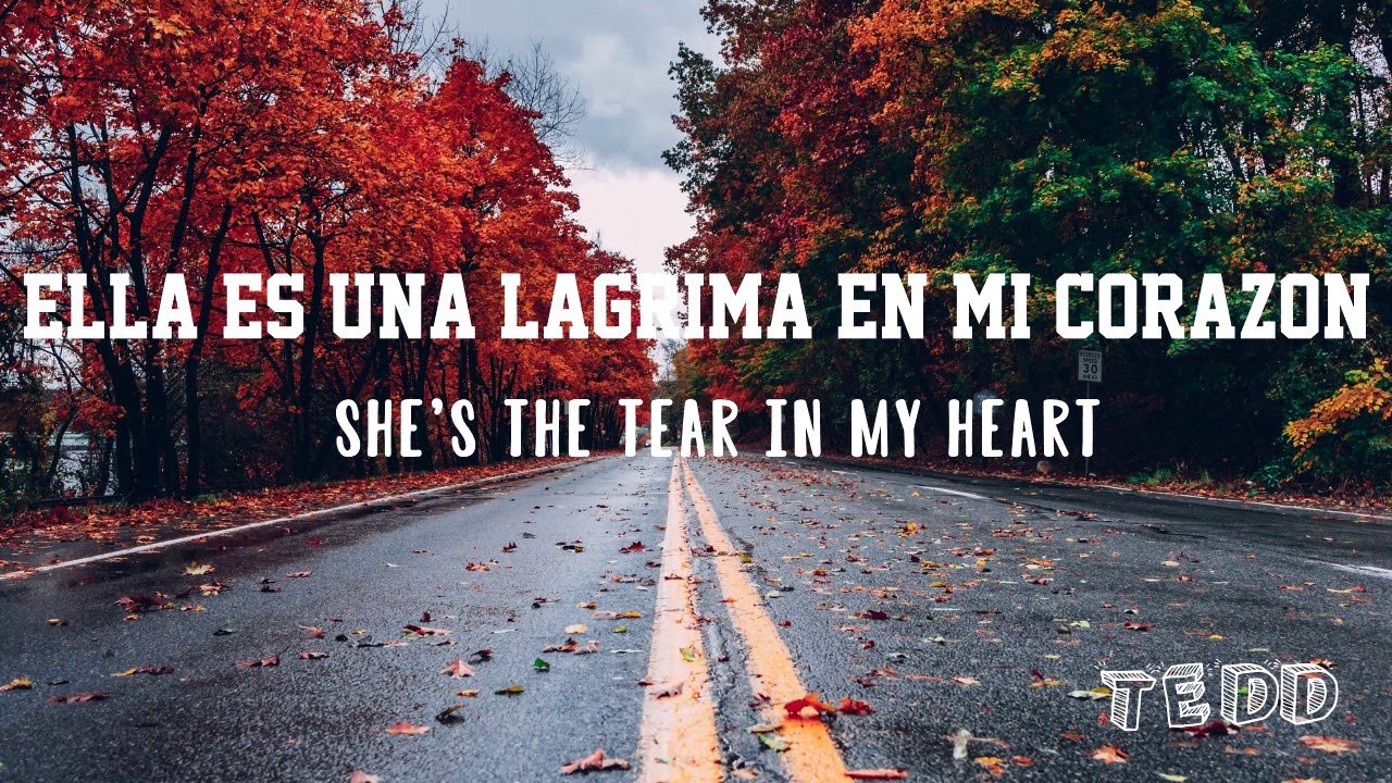 tear in my heart letra en español