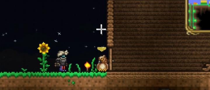 terraria owl