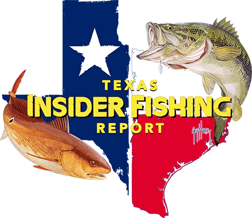 texas saltwater fishing report