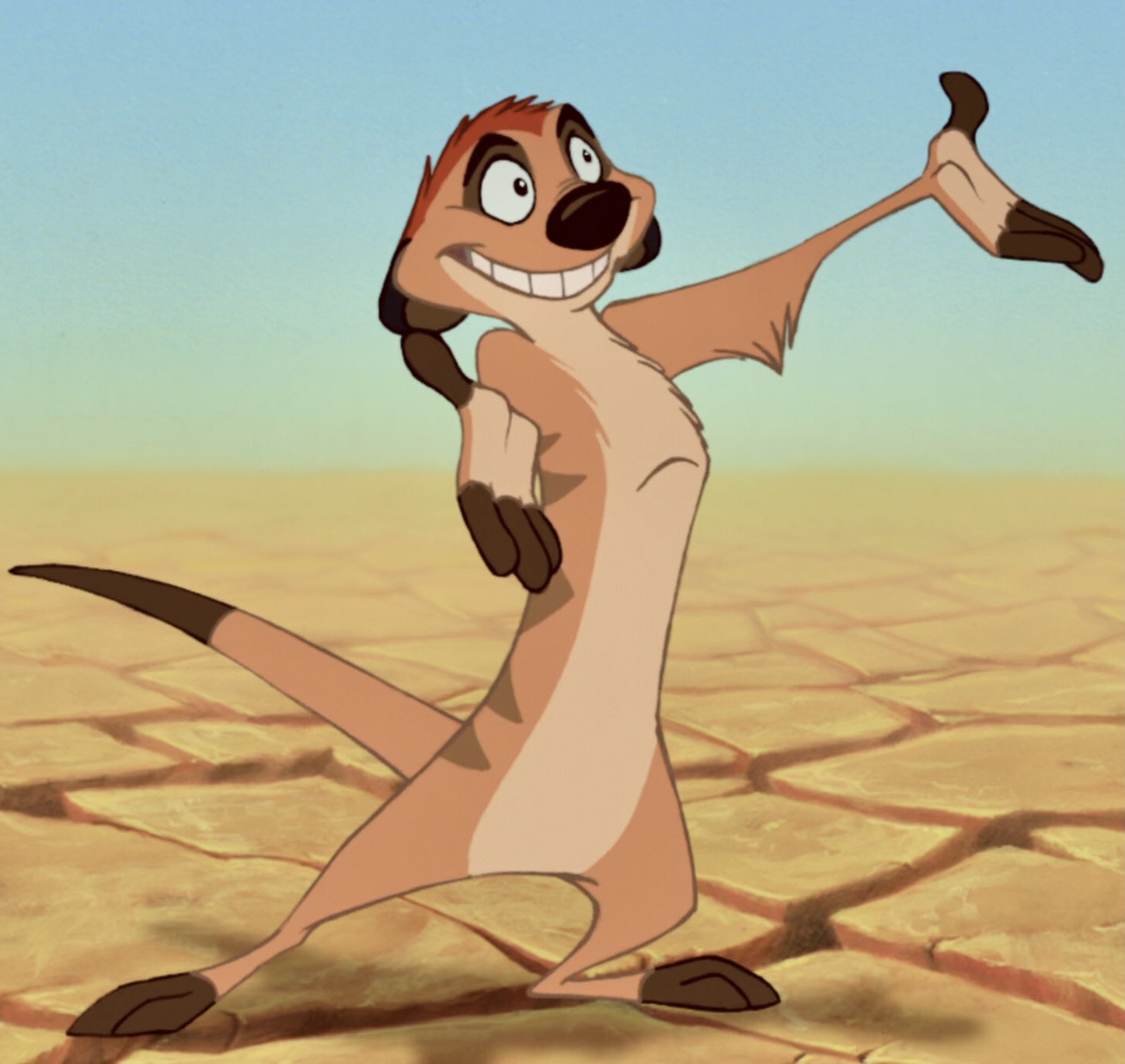 timon from lion king