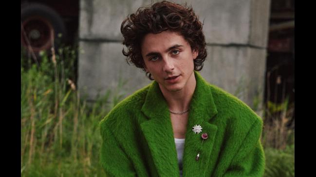 timothee chalamet porn