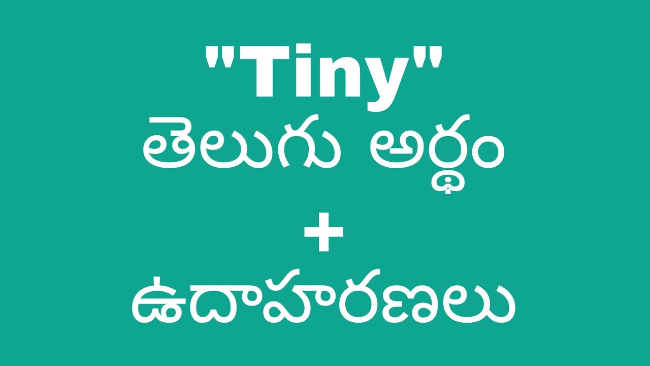 tiniest meaning in telugu