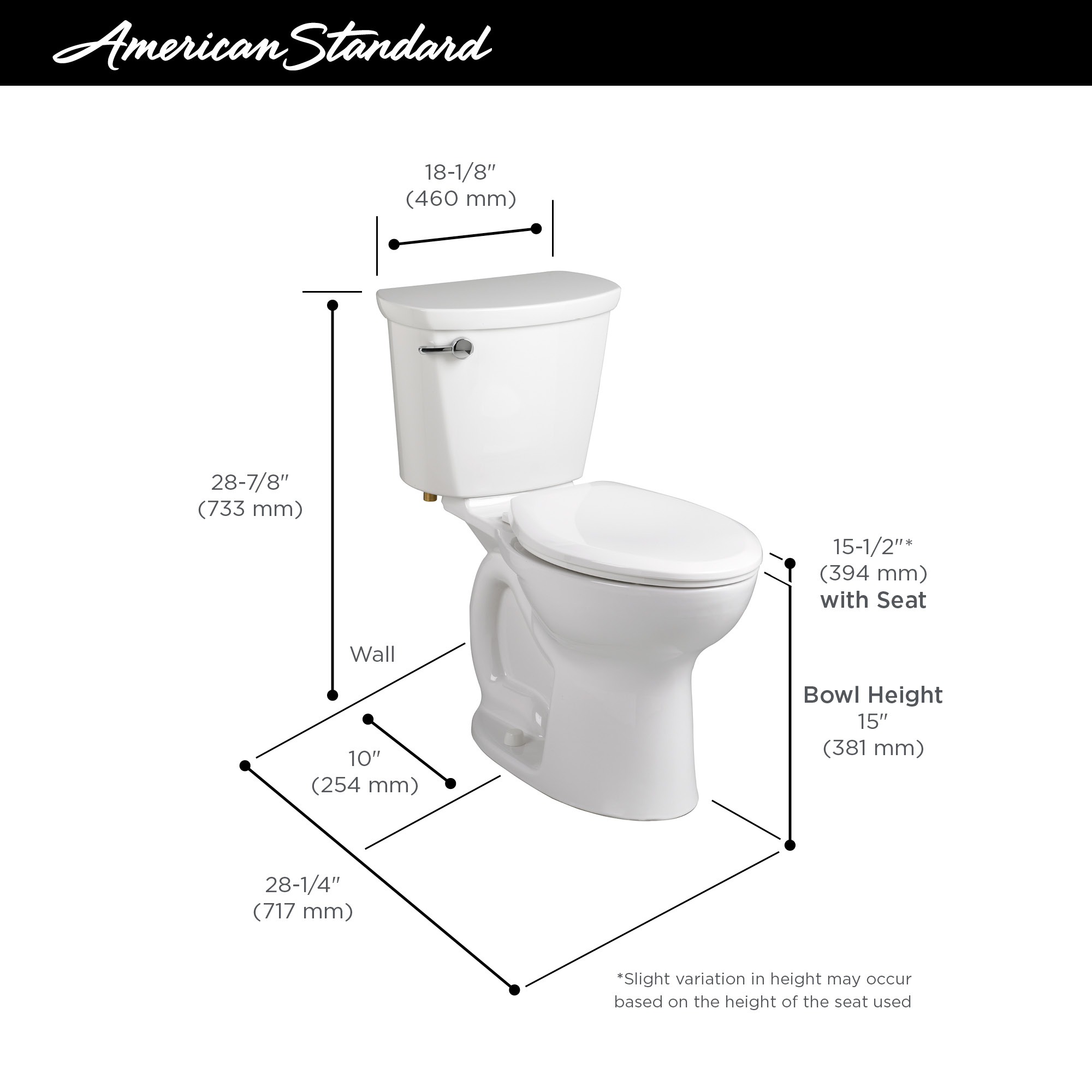 toilet 10 inch rough in