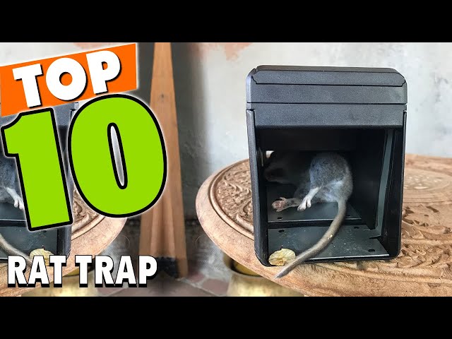 top rated rat traps