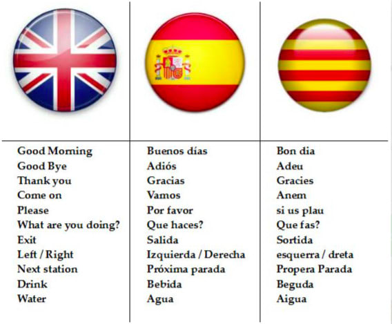 translate english catalan