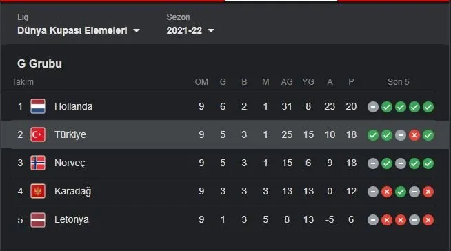 türkiye grup puan durumu