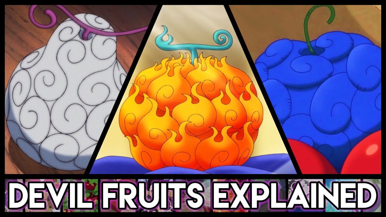 types of devil fruit in one piece